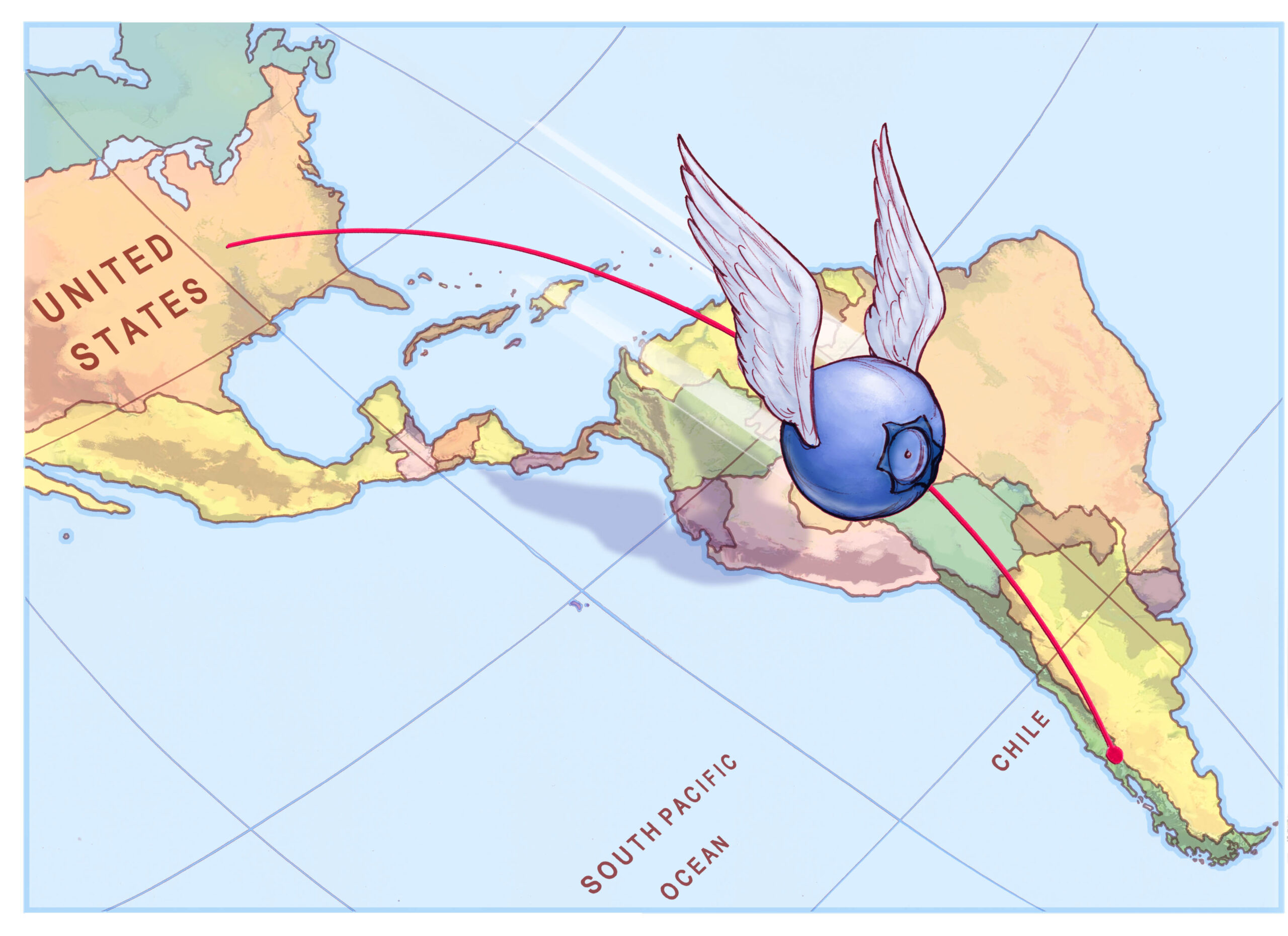 Blueberries arriving from North America to South America